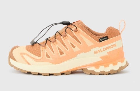 Salomon Xa Pro 3D V9 Gtx Dam Terr&auml;ngl&ouml;psko - Pecan Brown/Nectarine/Almond Cream 